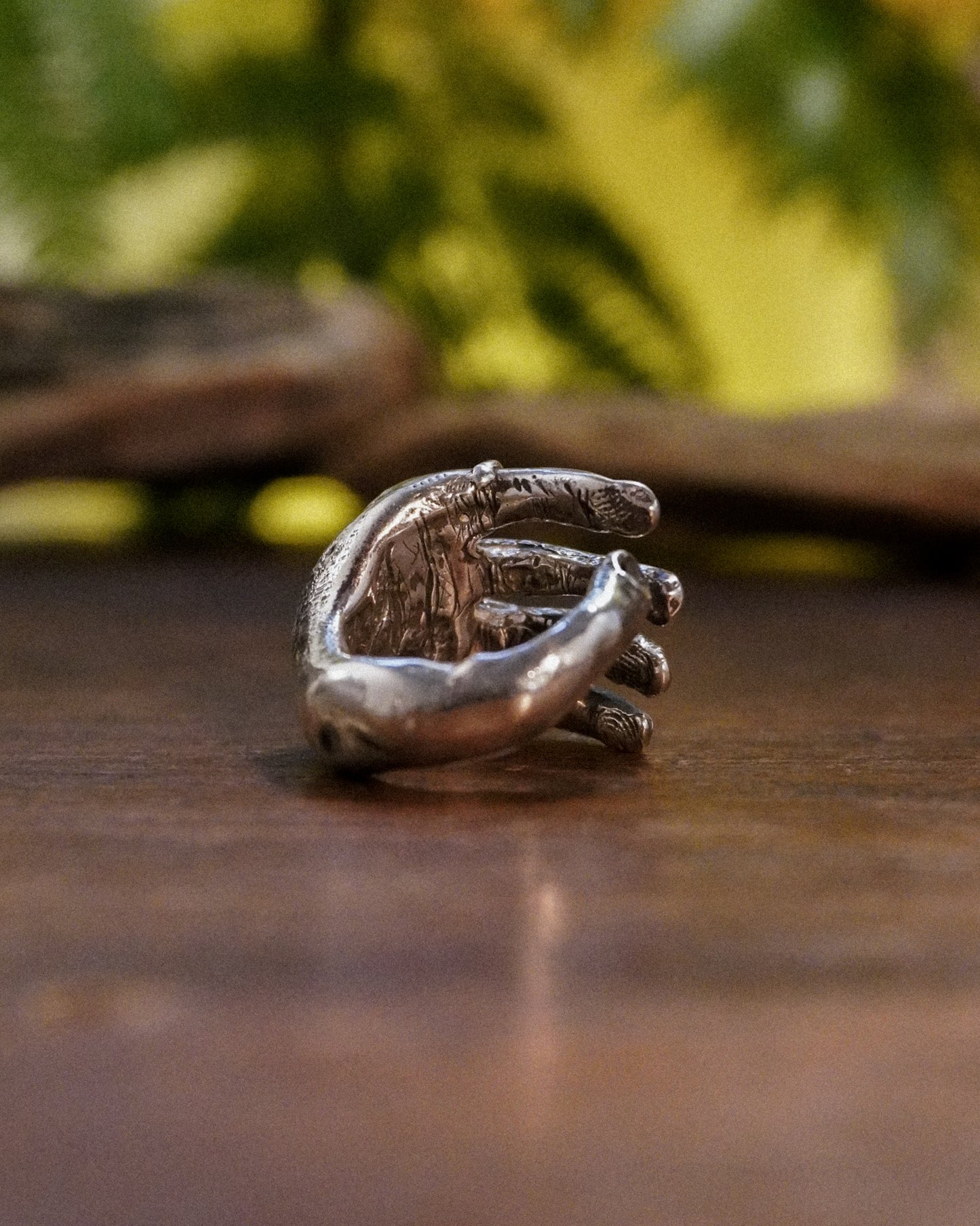 Ring on a ring