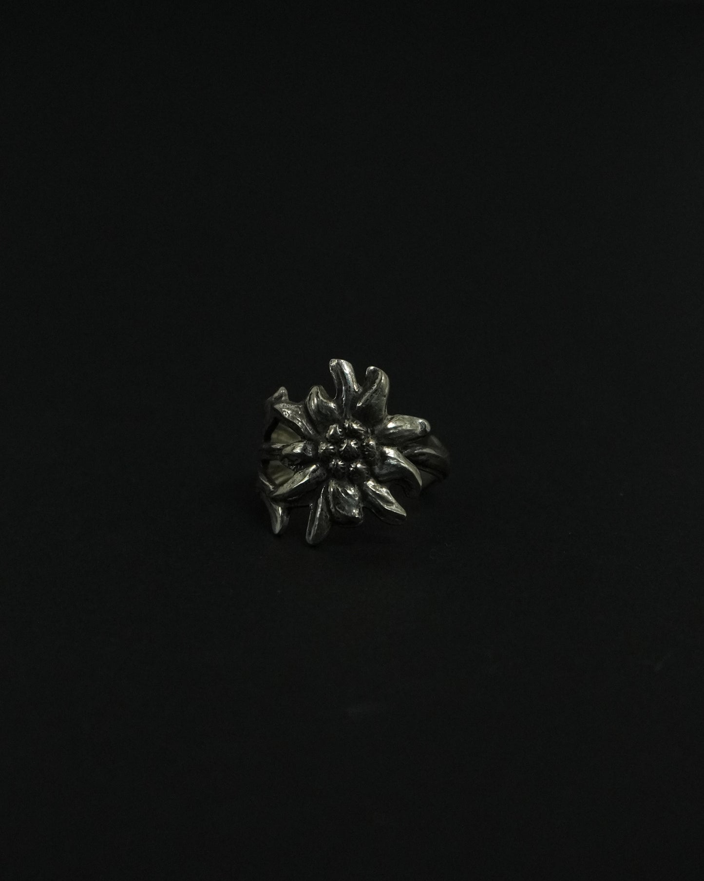 Clover-17
